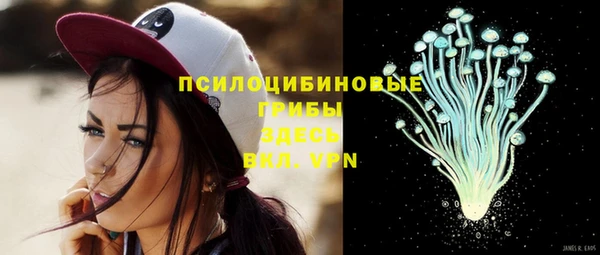 стаф Алексин