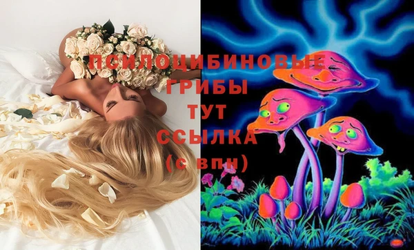 PSILOCYBIN Алзамай