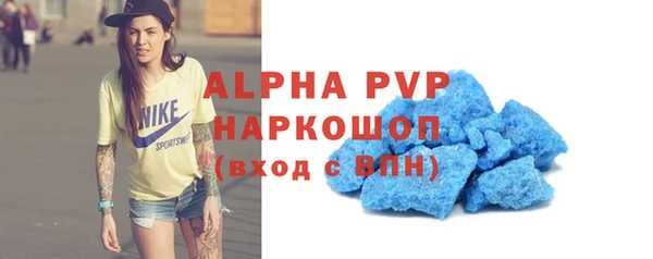 стаф Алексин