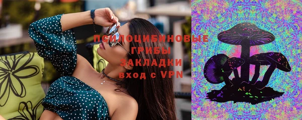 PSILOCYBIN Алзамай
